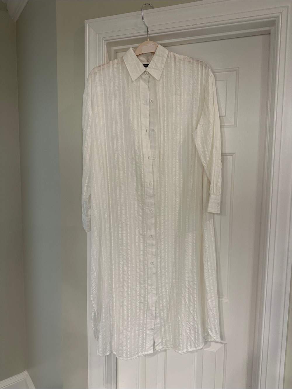 Sheer White Button-Front Shirt Dress